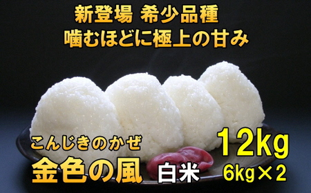 新登場の高級米 令和7年産  岩手県奥州市産 金色の風 白米12kg [AC031]