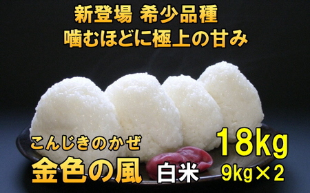 新登場の高級米 令和7年産 岩手県奥州市産 金色の風 白米18kg [AC033]