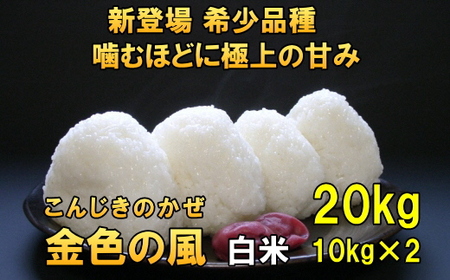 新登場の高級米 令和7年産 岩手県奥州市産 金色の風 白米20kg [AC034]