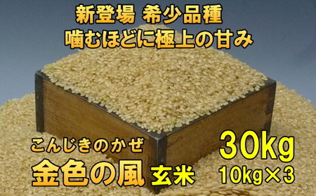 新登場の高級米 令和7年産 岩手県奥州市産 金色の風  玄米30kg [AC036]
