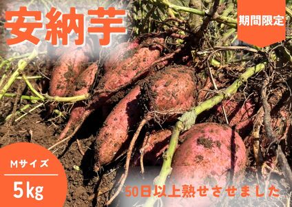 種子島 石蔵 長期熟成 安納いも ( Mサイズ ) 5kg NFN638 [400pt]// 有機肥料 減農薬栽培 安全安心