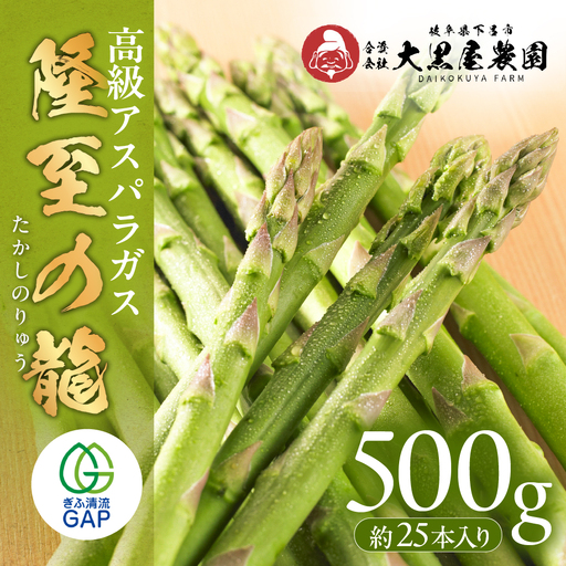 【期間限定】高級アスパラガス 隆至の龍 500g（約25本入り）レギュラーサイズ【119-3】