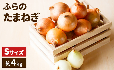 [2026年発送]ふらの たまねぎ 約10kg 小粒 Sサイズ ( 北海道 富良野市 野菜 新鮮 直送 玉ねぎ 道産 ふらの 送料無料 数量限定 )