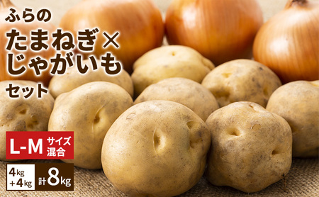 [2026年発送]ふらの産 たまねぎ×じゃがいも セット 約8kg(4kg+4kg) L〜Mサイズ混合 ( 北海道 富良野市 野菜 新鮮 直送 玉ねぎ 道産 ふらの 送料無料 数量限定 )