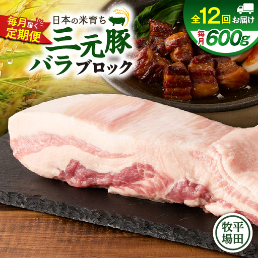 【 全12回 毎月 定期便 】 日本 の 米育ち 平田牧場 三元豚 バラ ブロック 600g T036-T08-03 肉 豚肉