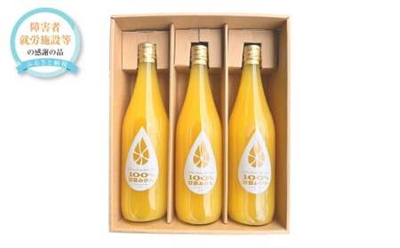 100%甘夏みかんジュース 3本セット (720ml×3本) 甘夏 あまなつ みかん ミカン 蜜柑 ジュース 飲料 ドリンク 果汁飲料 果汁100% ギフト プレゼント おすすめ 国産 常温