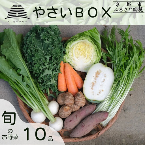 [よしだのはたけ]旬の野菜10品 やさいBOX|京都 農家直送 野菜 人気セット