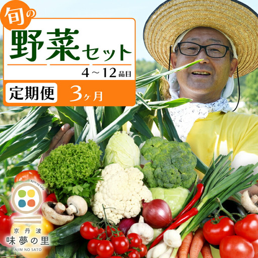 [3回定期便] 道の駅京丹波味夢の里 『旬のお野菜』 詰め合わせセット 野菜詰め合わせ 4~12種類
