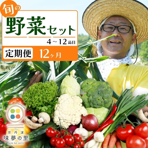 【12回定期便】 道の駅京丹波味夢の里 『旬のお野菜』 詰め合わせセット 野菜詰め合わせ 4~12種類