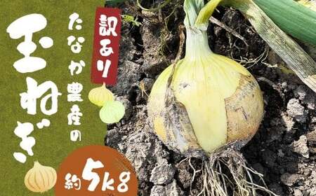 [先行予約]玉ねぎ 5kg | 玉ねぎ