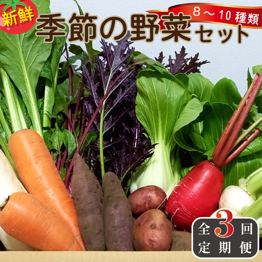 [定期便 全3回]季節の野菜詰め合わせセット(新鮮 採れたて 野菜 セット 定期便 詰め合わせ 宮崎県)