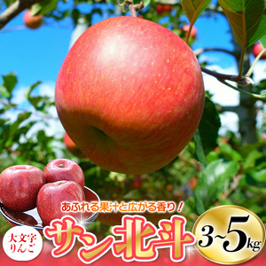 [10月下旬頃より順次発送]大文字りんご園 サン北斗 約5kg 大玉(10〜12玉) [dma002-big]