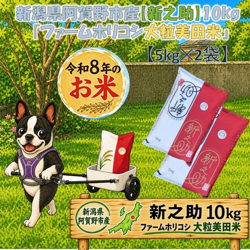 【令和8年産新米予約】阿賀野市産新之助「ファームホリコシ 新之助」10kg（5kg×2袋） 白米 精米 新潟県 米 こめ コメ 9月下旬～10月上旬頃より発送開始予定 3H15028