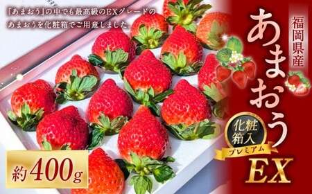 化粧箱入りプレミアムあまおう 約400g × 1パック 【ギフト・お祝い・贈答用】 【2027年2月上旬～4月上旬発送予定】 あまおう いちご イチゴ 苺 果物 くだもの フルーツ 福岡県産 国産 福岡県 遠賀町 冷蔵