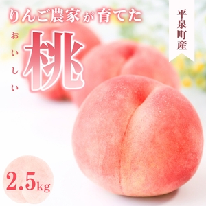 [2026年8月中旬順次発送]平泉町産 桃 約2.5kg (7〜10玉) 黄金桃 [dma501-og]
