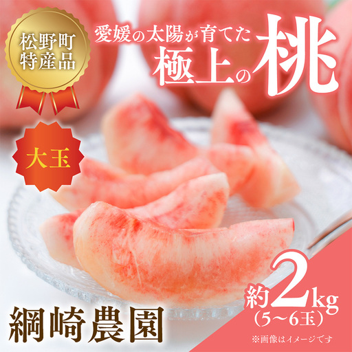 【2027年出荷分先行予約】愛媛の桃どころ 「綱崎農園」から届ける大玉桃 約2kg ｜ ふるさと納税 桃 冷蔵 松野町 フルーツ ギフト ※2027年6月～発送