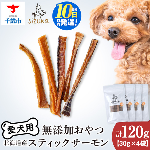 スティックサーモン 30g×4袋