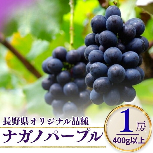 【2026年先行予約】ナガノパープル  400g以上(1房) ｜ ナガノパープル