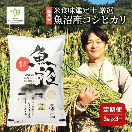 無洗米「米食味鑑定士 厳選」魚沼産コシヒカリ 3kg 3ヵ月連続お届け　米 こめ お米 コメ こしひかり 新潟県 魚沼市 魚沼 ライス ご飯 主食 新潟県産 産地直送 時短