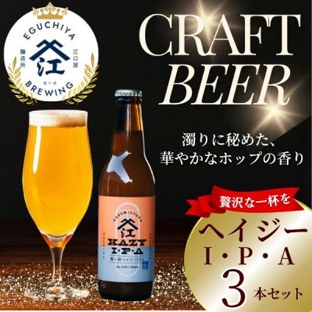 クラフトビール ヘイジーIPA 計990ml 3本セット【配送不可地域：離島】【1650942】