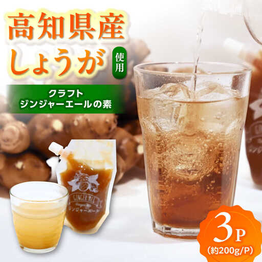 クラフトジンジャエールの素 約200ｇ×3パック / ジンジャーエール 素 シロップ ジンジャーシロップ 炭酸 炭酸割り ソーダ お湯割り ホットジンジャー アレンジ【Japan Ginger 株式会社】[ATFD005]