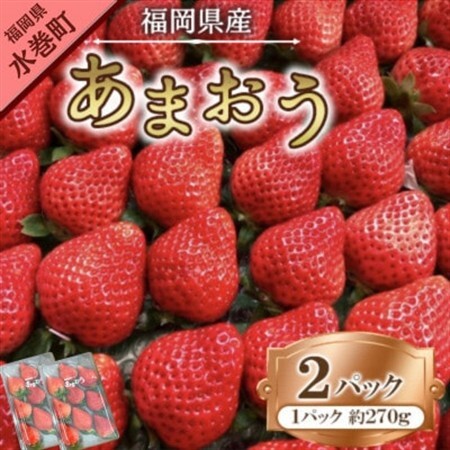 【2027年1月下旬～順次発送予定】福岡県産 あまおう 合計約540g 約270g×2パック(水巻町【配送不可地域：離島】【1685380】