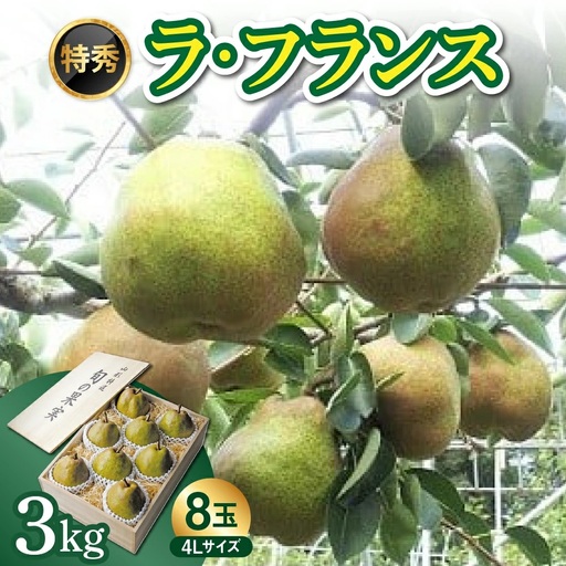 ＜数量限定＞西洋梨（ラ・フランス）３ｋｇ【極み】桐箱入り　４Ｌ　８玉　0044-2606