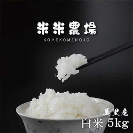 【令和7年産】熊本県美里町のお米 ヒノヒカリ 5kg×1袋_白米 お米 米 ごはん おにぎり_【1689005】