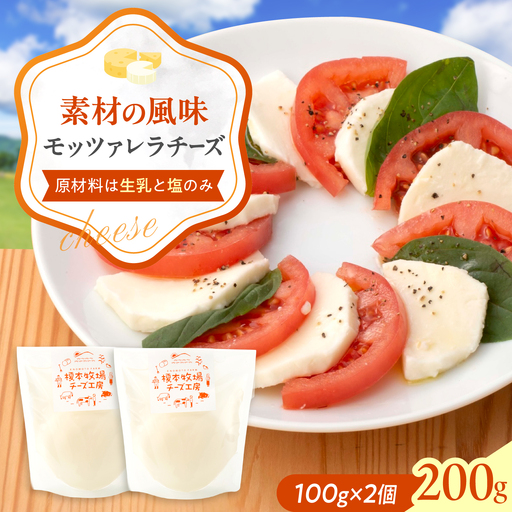 モッツァレラ チーズ 100g×2 BUAO007 チーズ