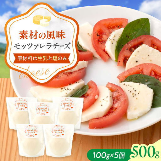 モッツァレラ チーズ 100g×5 BUAO008 チーズ