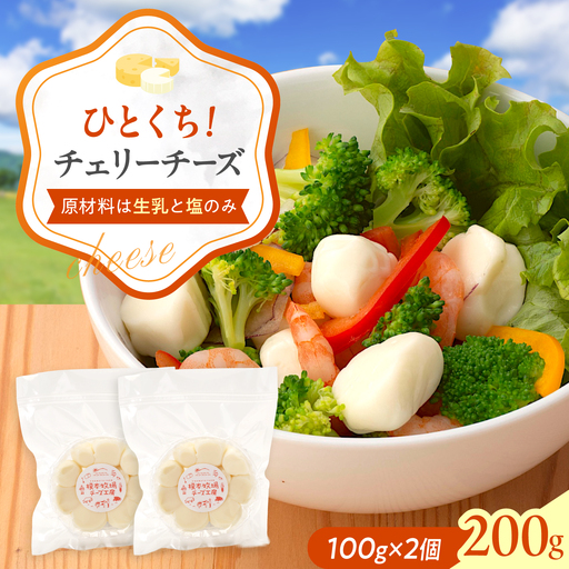 チェリー チーズ 100g×2 BUAO005 チーズ