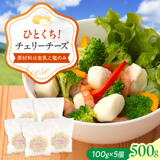 チェリー チーズ 100g×5 BUAO006 チーズ