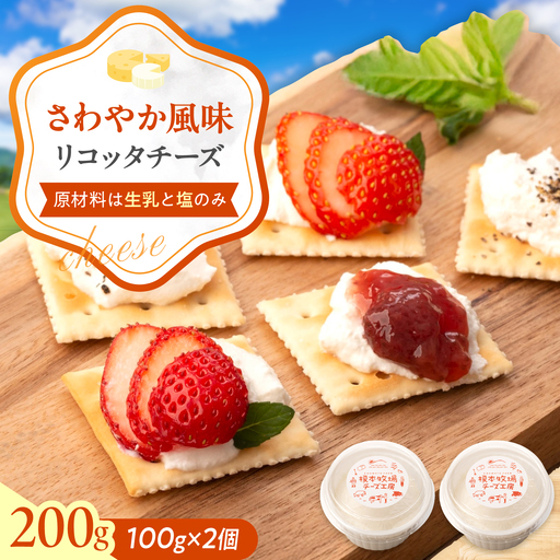 リコッタ チーズ 100g×2 BUAO009 チーズ