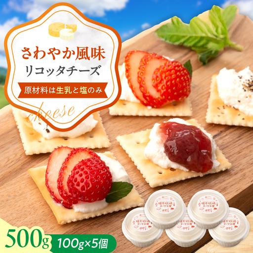 リコッタ チーズ 100g×5 BUAO010 チーズ