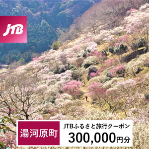 【湯河原町】JTBふるさと旅行クーポン（300,000円分）有効期間3年（Eメール発行） 湯河原温泉 宿泊