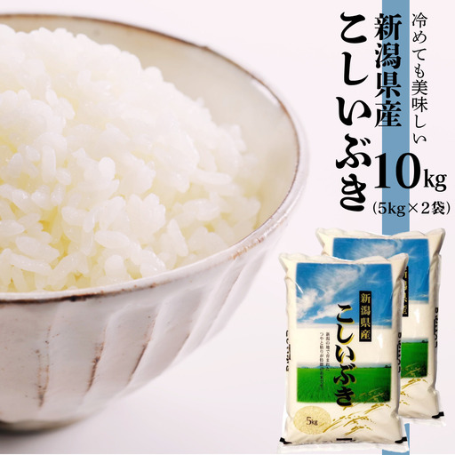 【令和7年産】新潟産 こしいぶき 10kg（5kg×2袋） 白米 精米 米 こめ コメ 1N17021