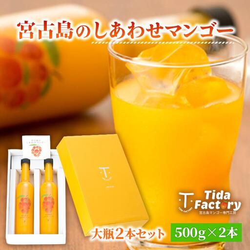 宮古島のしあわせマンゴー　大瓶２本セット【500ｇ×2本】(T114)
