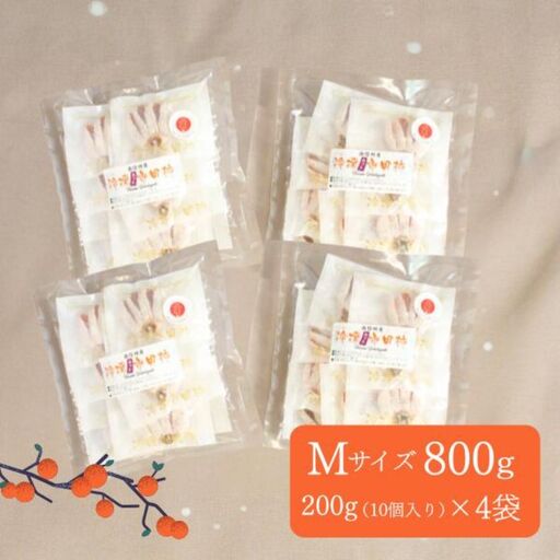  TK24 冷凍カット市田柿 Mサイズ 約800g（約200g×4） // 長野県 南信州 干し柿 高級ドライフルーツ 高糖度 冷凍フルーツ