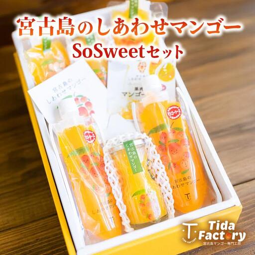 宮古島のしあわせマンゴー　SoSweetセット(T116)