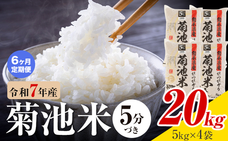 【6ヶ月定期便】令和7年産 熊本県産 菊池米 5分づき 20kg 1袋5kg 株式会社くまもとごはん 《お申込み翌月に出荷予定》米 お米 令和7年産 九州産 熊本県産  送料無料