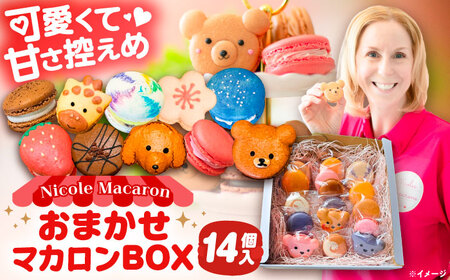 マカロンボックス 14個入 マカロン[AEDA002]