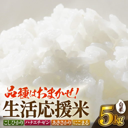 [先行予約]令和8年産 生活応援米 5kg[10月中旬以降][白米] [e81-a004_01]