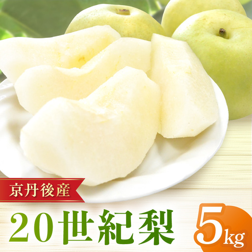 【先行予約／数量限定150】20世紀梨 5kg（2026年9月上旬～発送）梨