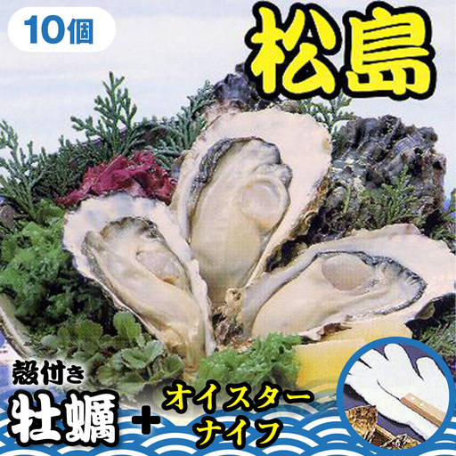 殻付き牡蠣10個+オイスターナイフ / カキ 貝 殻付き 松島湾 海産物 牡蠣セット オイスターナイフ 新鮮 宮城県 特産品 No.175