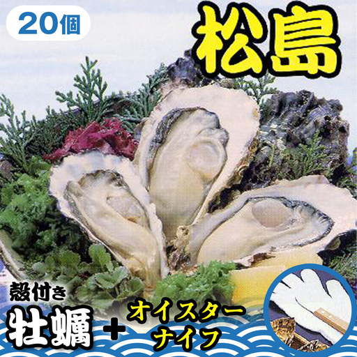 殻付き牡蠣20個＋オイスターナイフ ／ カキ 貝 殻付き 松島湾 海産物 牡蠣セット オイスターナイフ 新鮮 宮城県 特産品 No.181