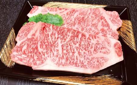 博多和牛のサーロインステーキ用 （約250g×2枚） 計500g お取り寄せ グルメ 福岡 お土産 九州 九州産 福岡県産