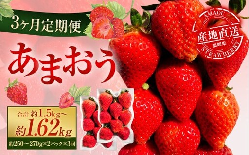 【3ヶ月定期便】 あまおう 2パック×3回 （計6パック） 【2027年2月上旬～4月下旬発送予定】 いちご イチゴ 果物 果実 フルーツ 福岡県 太宰府市 冷蔵