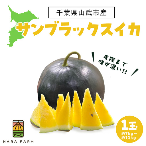 [先行予約]サンブラックスイカ