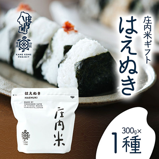 山形庄内かめこめプロジェクト 庄内米ギフト はえぬき 300g×1袋 令和7年産 2025年産 ブランド米 コシヒカリの原点、亀の尾発祥の地 庄内