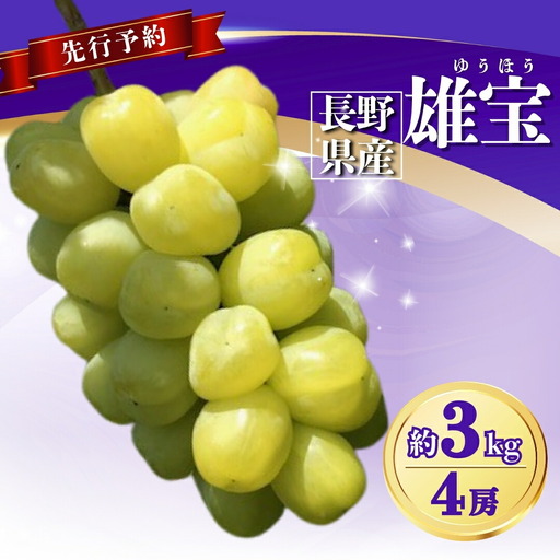 ぶどう 雄宝(ゆうほう) 約3kg(4房)｜ ぶどう ぶどう